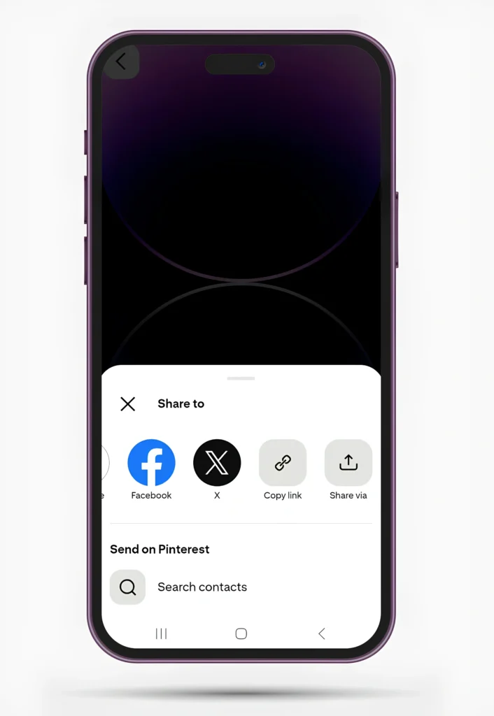 pinterest image downloader screenshoot 1