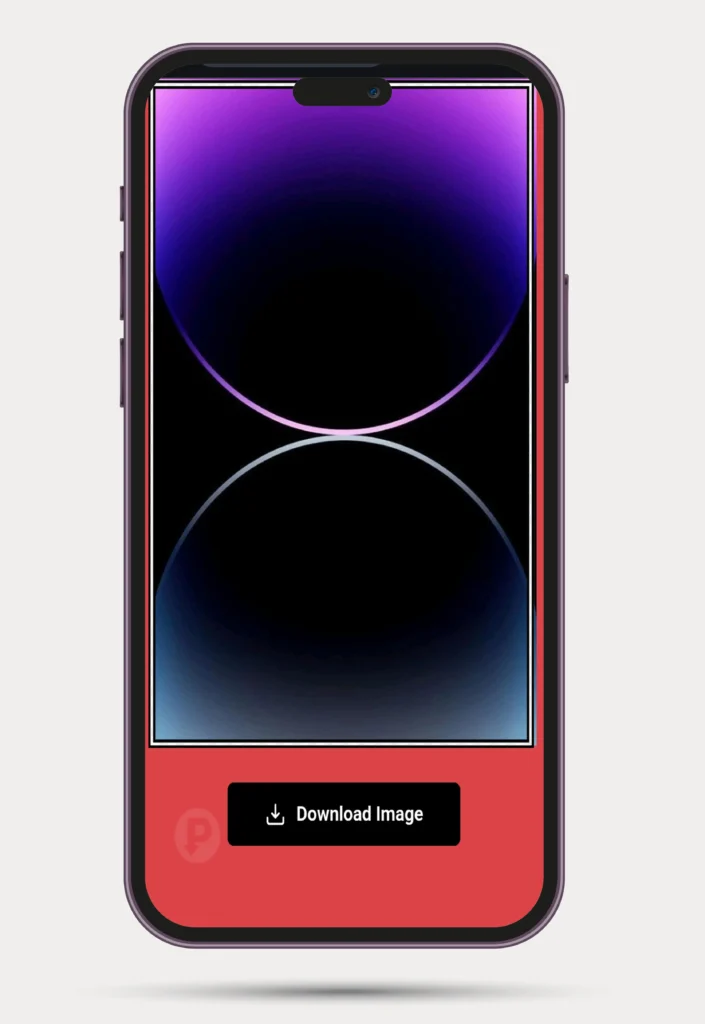 pinterest image downloader screenshoot 3